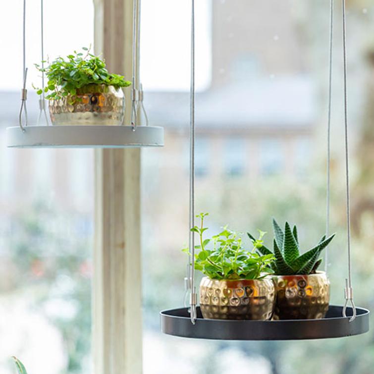 AMPPELI WINDOW DRESSING PYÖREÄ 24 CM