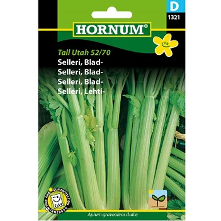 LEHTISELLERI TALL UTAH 52/70 1321