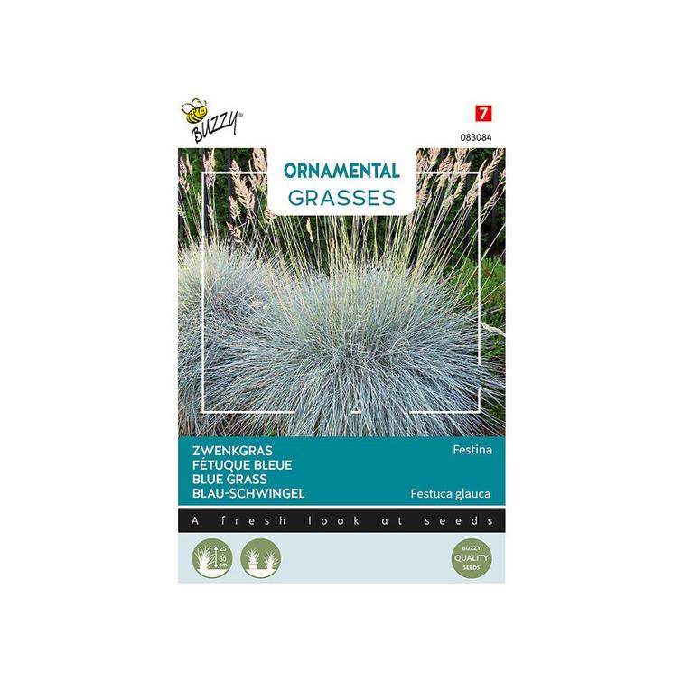 BUZZY SININATA FESTINA, SIEMEN 983084