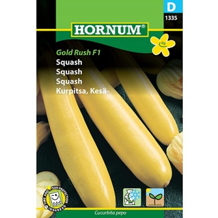 KESÄKURPITSA GOLD RUSH F1