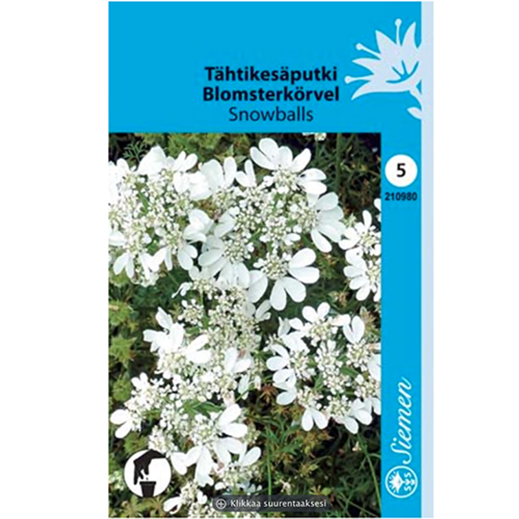 T&Auml;HTIKES&Auml;PUTKI SNOWBALLS, SIEMEN 210980