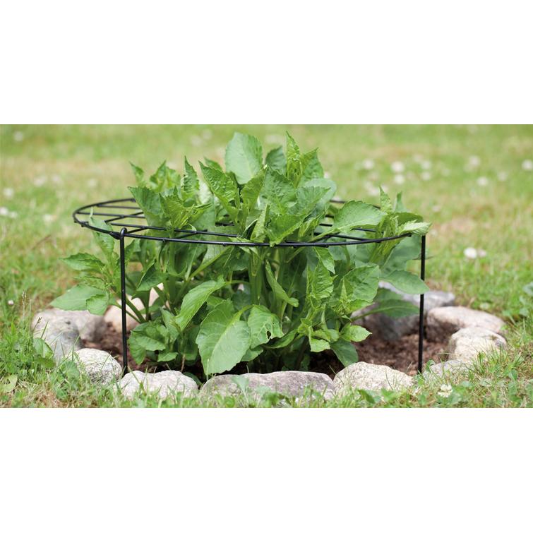 NELSON GARDEN PERENNATUKI 70 CM