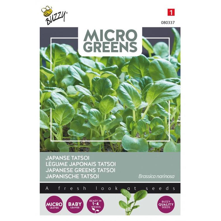 BUZZY MICRO GREENS TSATSOIKAALI 980337