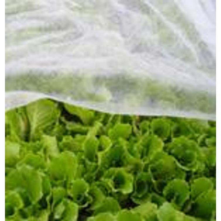 Peiteharso 30 m2 90789