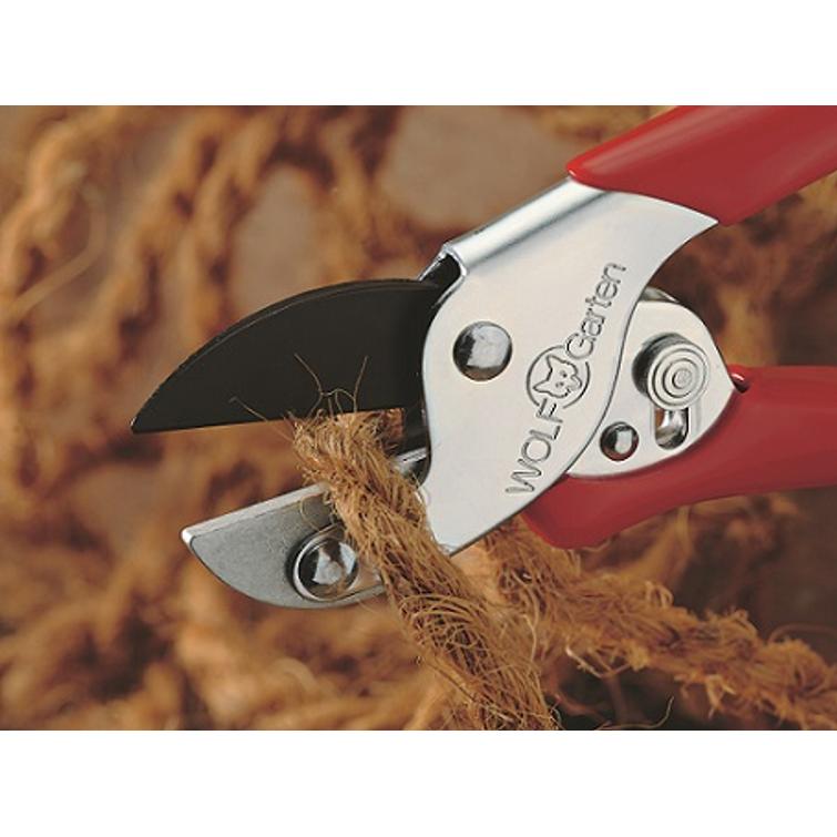 RS-EN PROMO ANVIL SHEAR / CARD