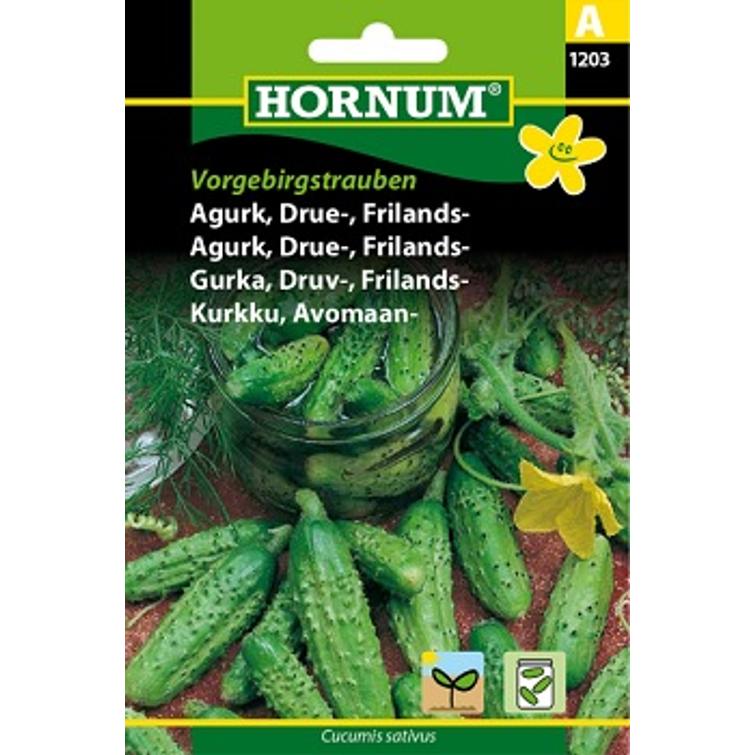 AVOMAANKURKKU VORGEBIRGSTRAUBEN, SÄILÖNT 1203-1