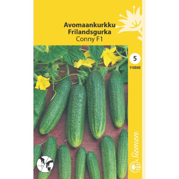 AVOMAANKURKKU CORENTINE F1 1000S EN 75021320