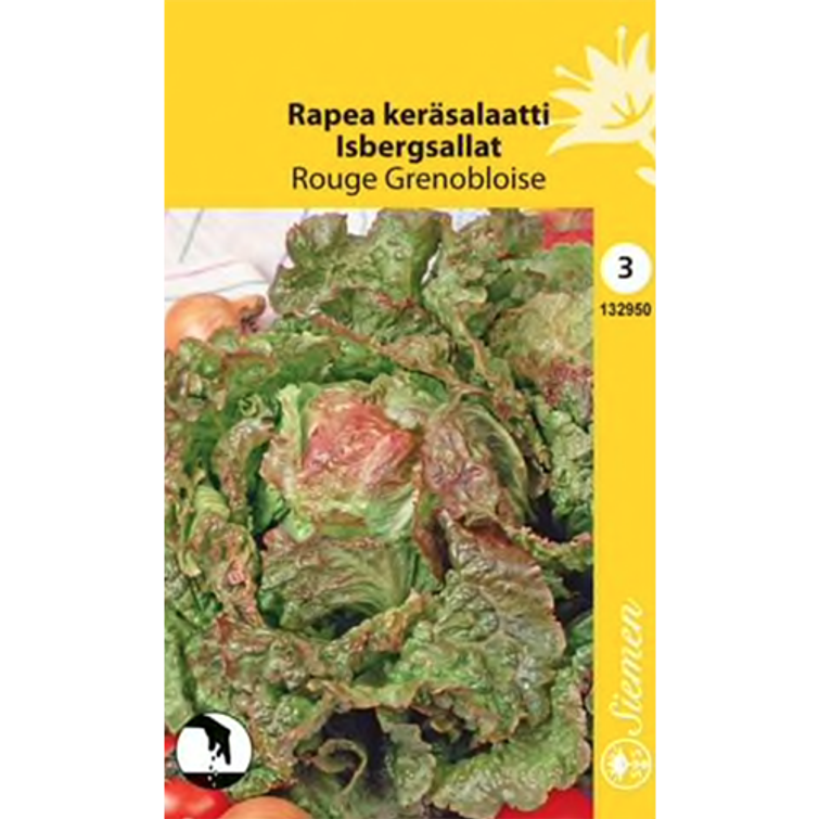 RAPEA KERÄSALAATTI ROUGE GRENOBLOISE 132950