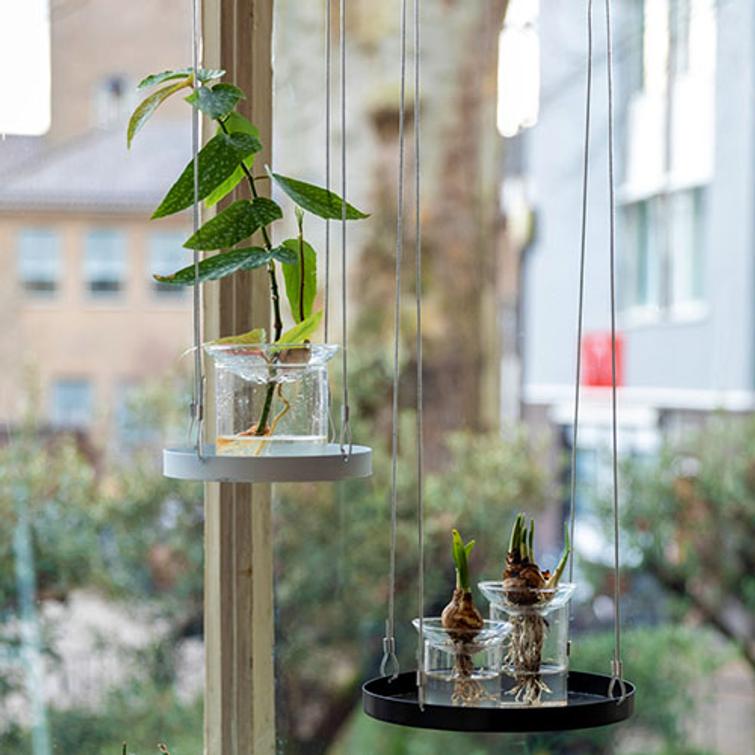 AMPPELI WINDOW DRESSING PYÖREÄ 14 CM