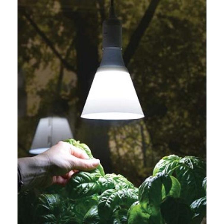 Nelson Garden Kasvivalo LED-lamppu E27 j 5571