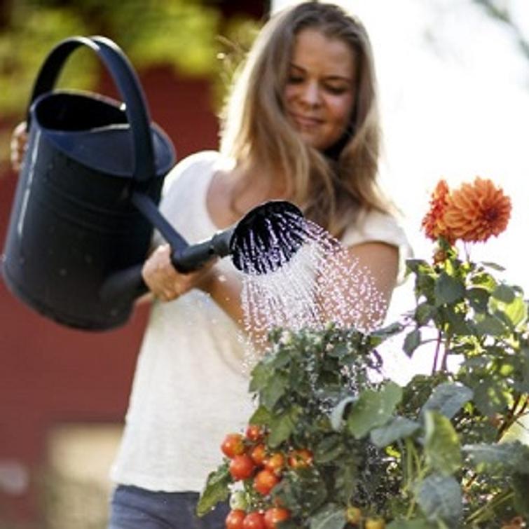 Etupyörä 19-622 Acera Alex X2100