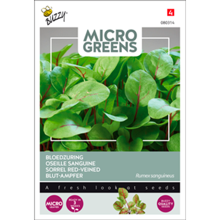 BUZZY MICRO GREENS VIINISUOLAHEINÄ 980314