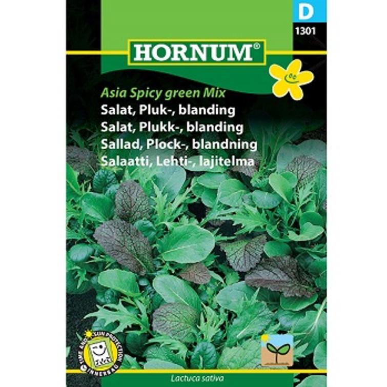 LEHTISALAATTI LAJITELMA ASIA SPICY GREEN 1301