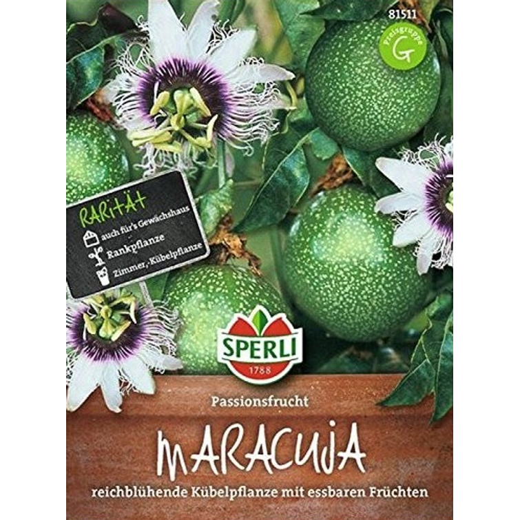 KÄRSIMYSKUKKA PASSIFLORA 13CM 22170-1