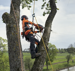 HUSQVARNA T540 XP® III, 14" SP21G SN