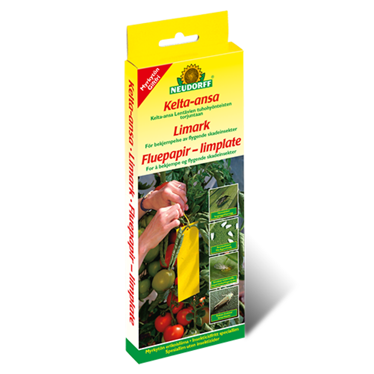 NEUDORFF KELTA-ANSA, 7 KPL 75095