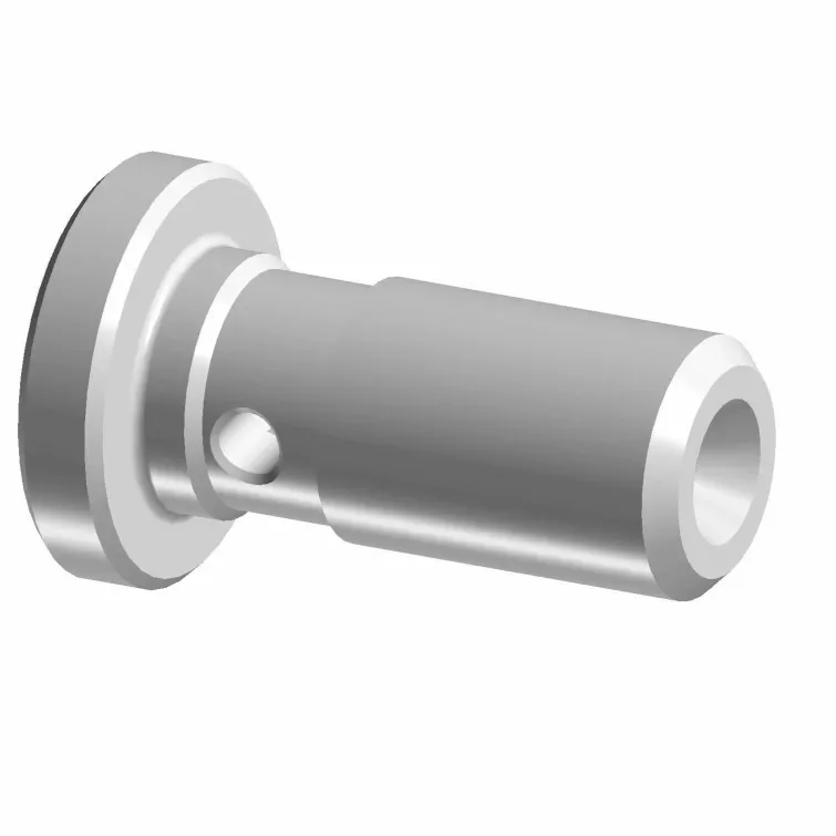 POLARIS BOLT-BANJOM10X1.00T40TORX