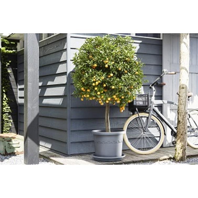 Elho Aluslautanen 30cm 4302814