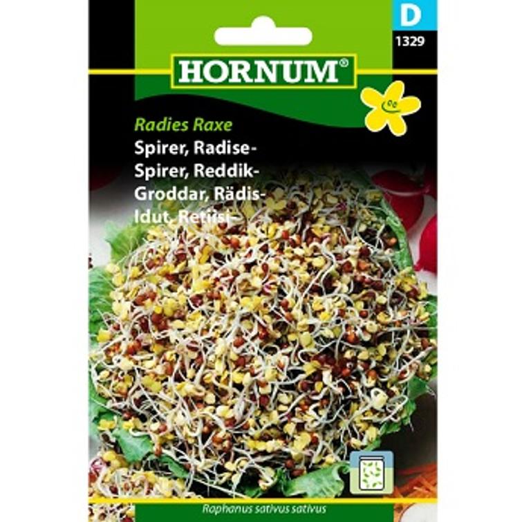 RETIISI-IDUT RADIES RAXE 1329