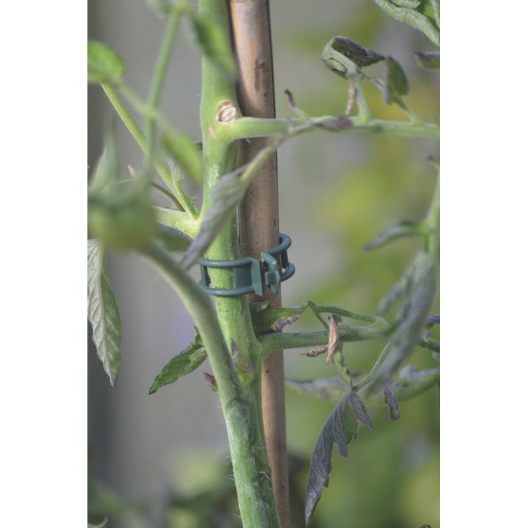 KASVIPIDIKE STRONG 12 KPL 6012