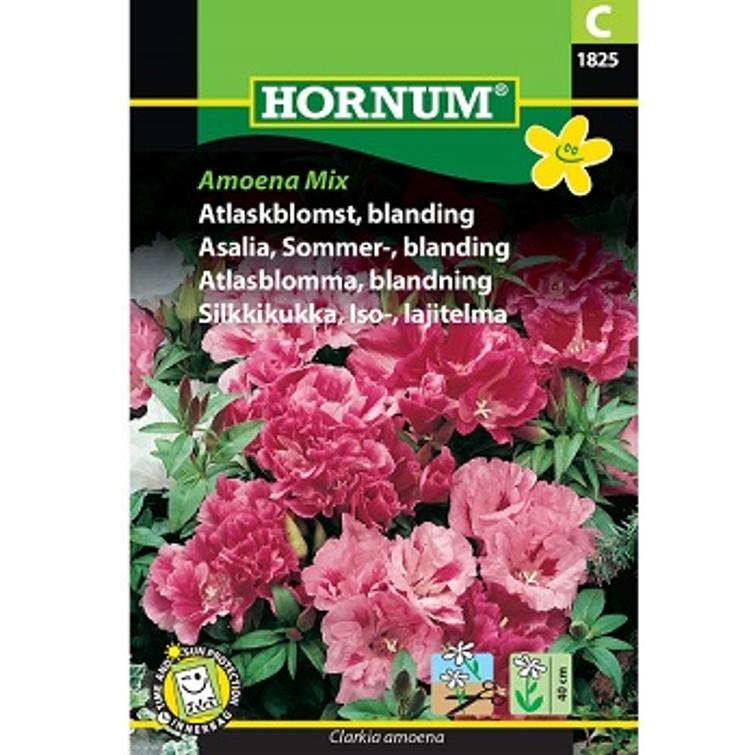 ISOSILKKIKUKKA SEOS 1825