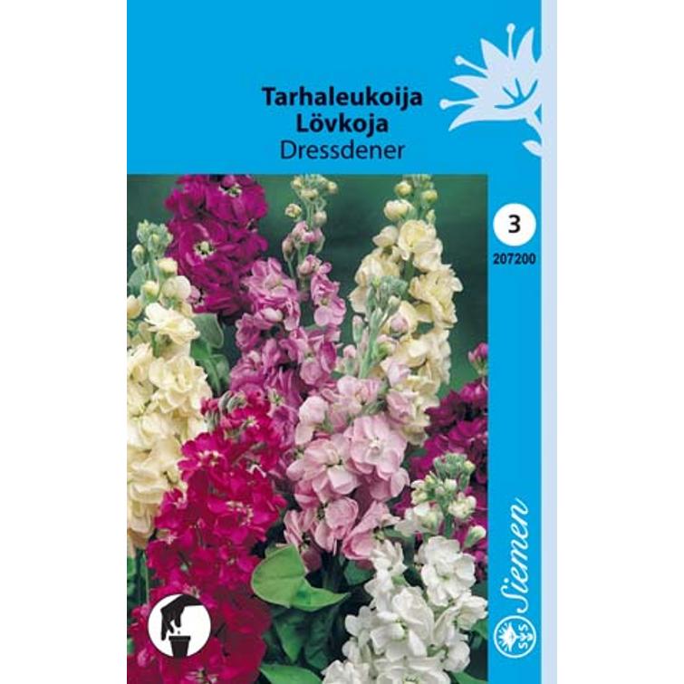 RYHMÄLEIJONNAKITA SEKOITE 162600