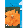 ESPANJANUNIKKO DOUBLE TANGERINE, SIEMEN 211870