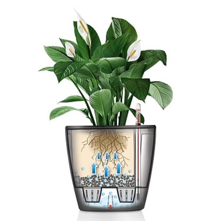 LECHUZA CLASSICO 43 ALL-IN VALKOINEN SÄI 56042517700