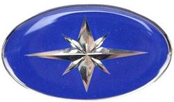 POLARIS POLARIS STAR LOGO