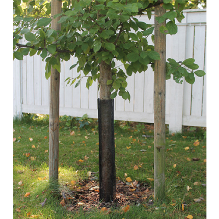 Tarha Rungonsuojaverkko 80 cm, 2 kpl