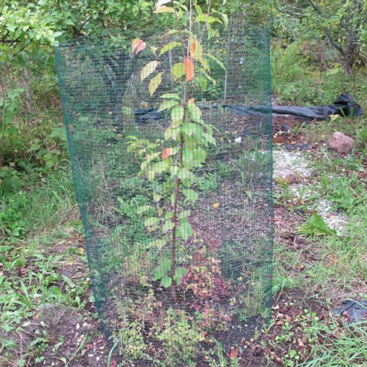 MYYRÄVERKKO 1,5 X 2,5M VIHREÄ 75.02.003