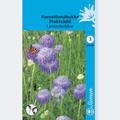 KOREATÖRMÄKUKKA LAVENDERBLUE, SIEMEN 224400