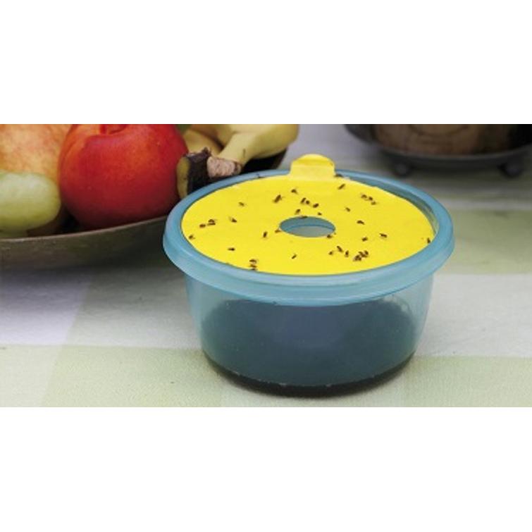 Nelson Garden Liima-arkki banaanikärpäsa 8658