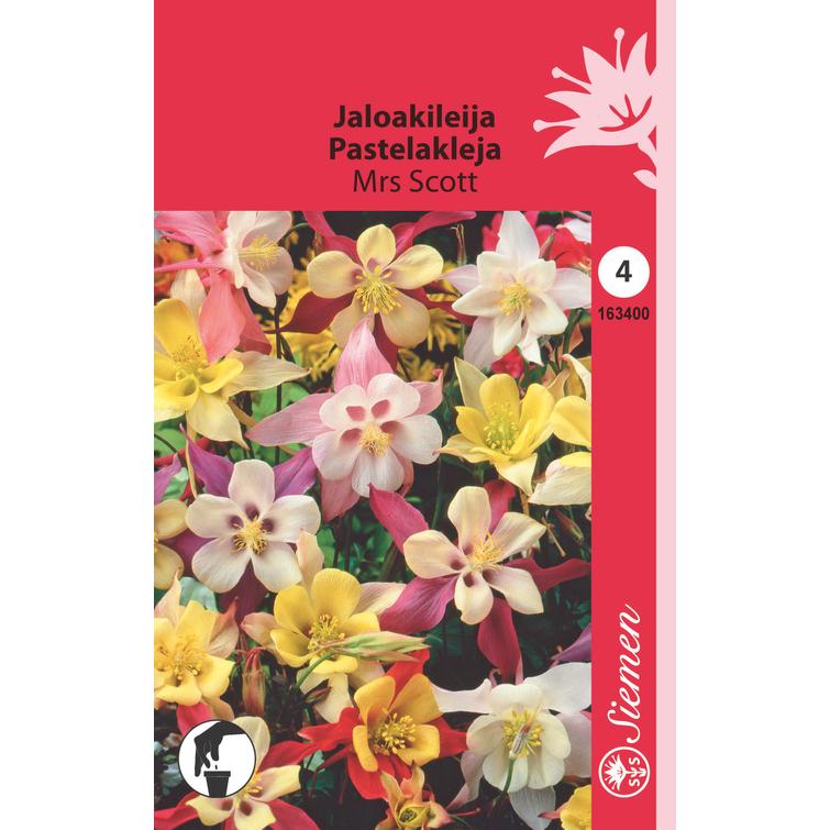 JALOAKILEIJA MRS SCOTT 163400