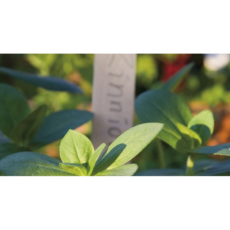 NIMISÄLE 24 KPL 5996