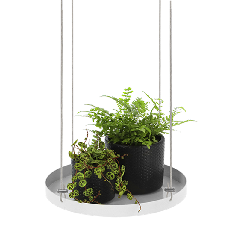 AMPPELI WINDOW DRESSING PYÖREÄ 24 CM