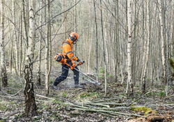 Husqvarna 545FXT AutoTune Raivaussaha