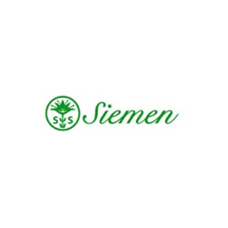 TAMMENLEHTISALAATTI SALAD BOWL, SIEMEN
