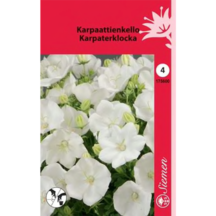 KARPAATTIENKELLO VALKOINEN, SIEMEN