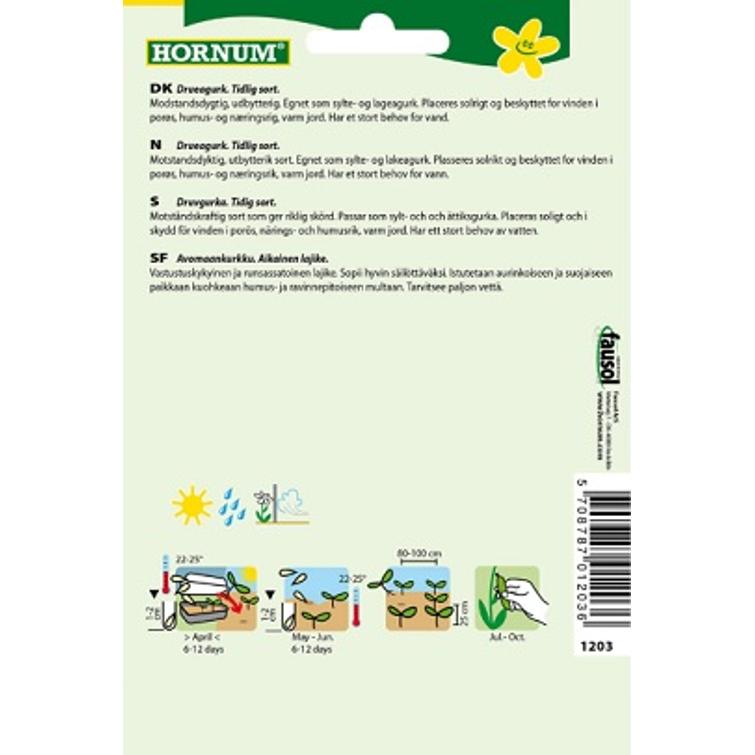 AVOMAANKURKKU VORGEBIRGSTRAUBEN, SÄILÖNT 1203-1