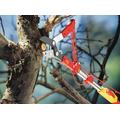 RC-M TREE LOPPER