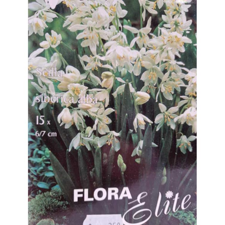 B&S Säätimen jousi 690709