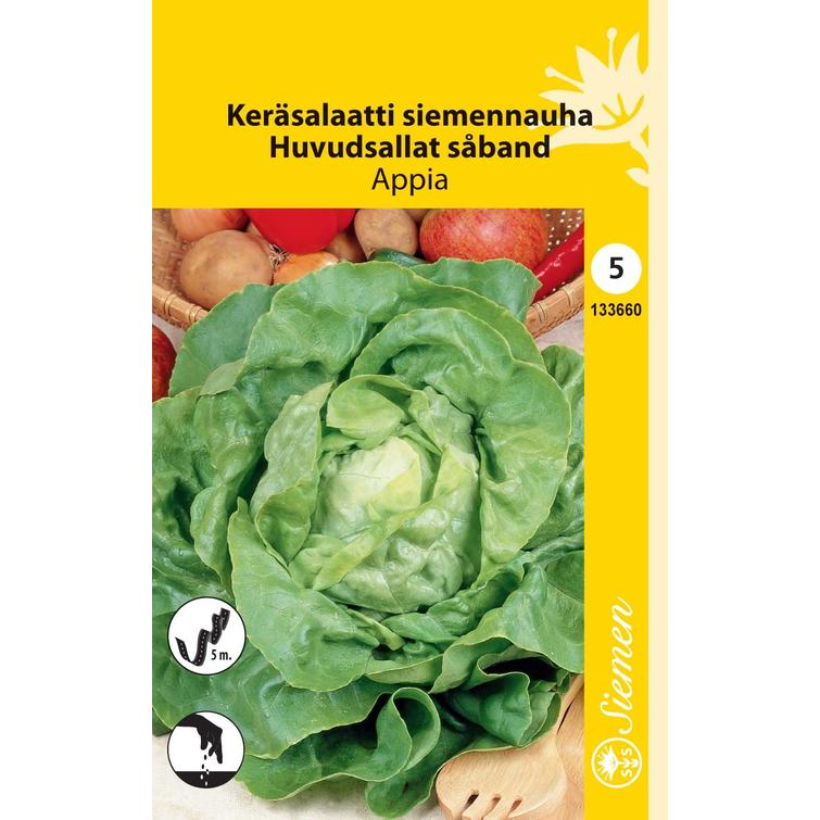 KERÄSALAATTI APPIA, SIEMENNAUHA 133660
