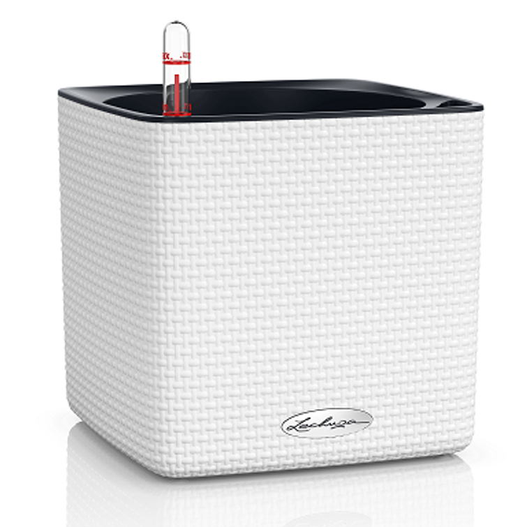 ALTAKASTELURUUKKU TREND CUBE, VALKOINEN 4301516