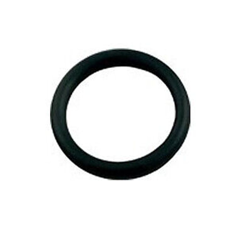 POLARIS O-RING