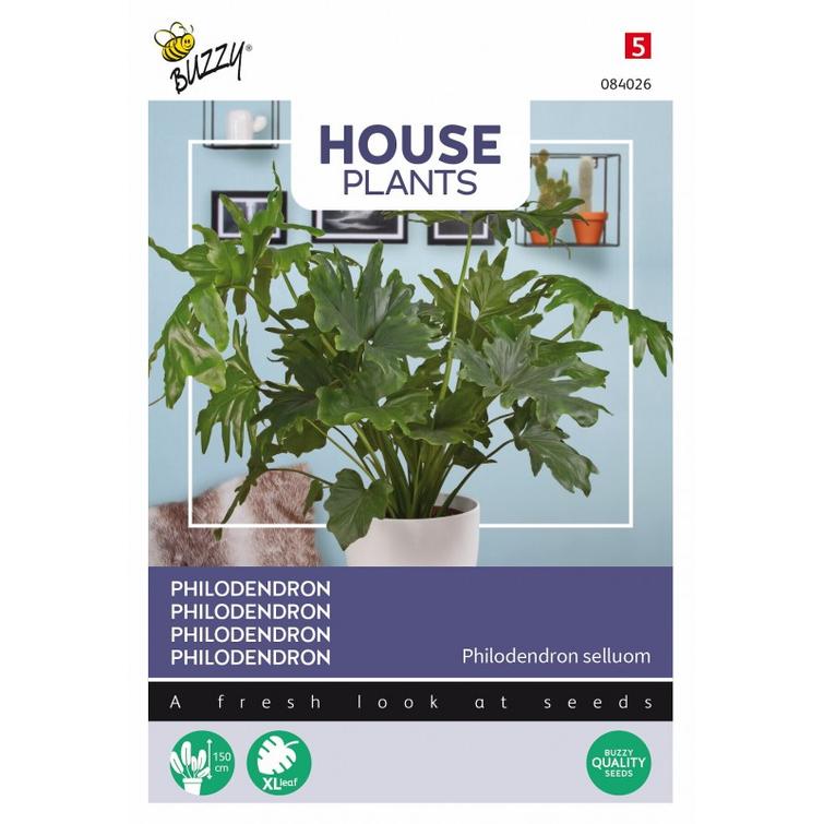 BUZZY PEIKONKÄMMEN, PHILODENDRON, SIEMEN