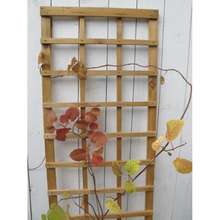 RUUTUSÄLEIKKÖ 50 X 180 CM