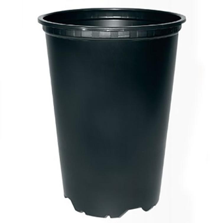 Ruusuruukku VCE musta 3 L 50070200