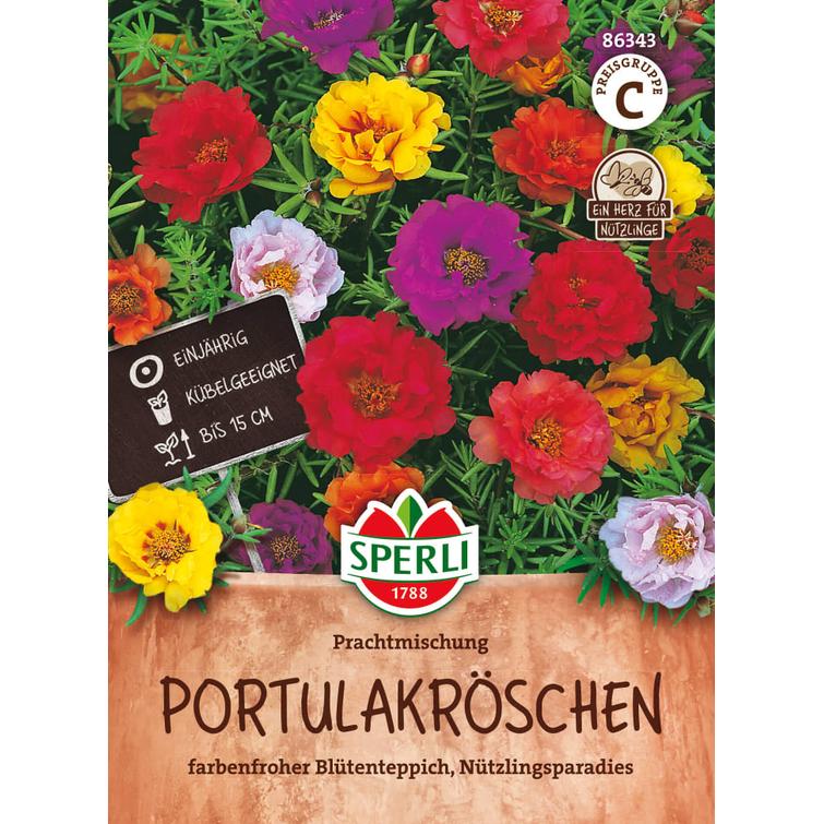 KORISTEPORTULAKKA, SIEMEN 221115