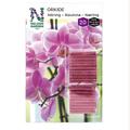 RAVINNEPUIKKO ORKIDEA 20 KPL 6772